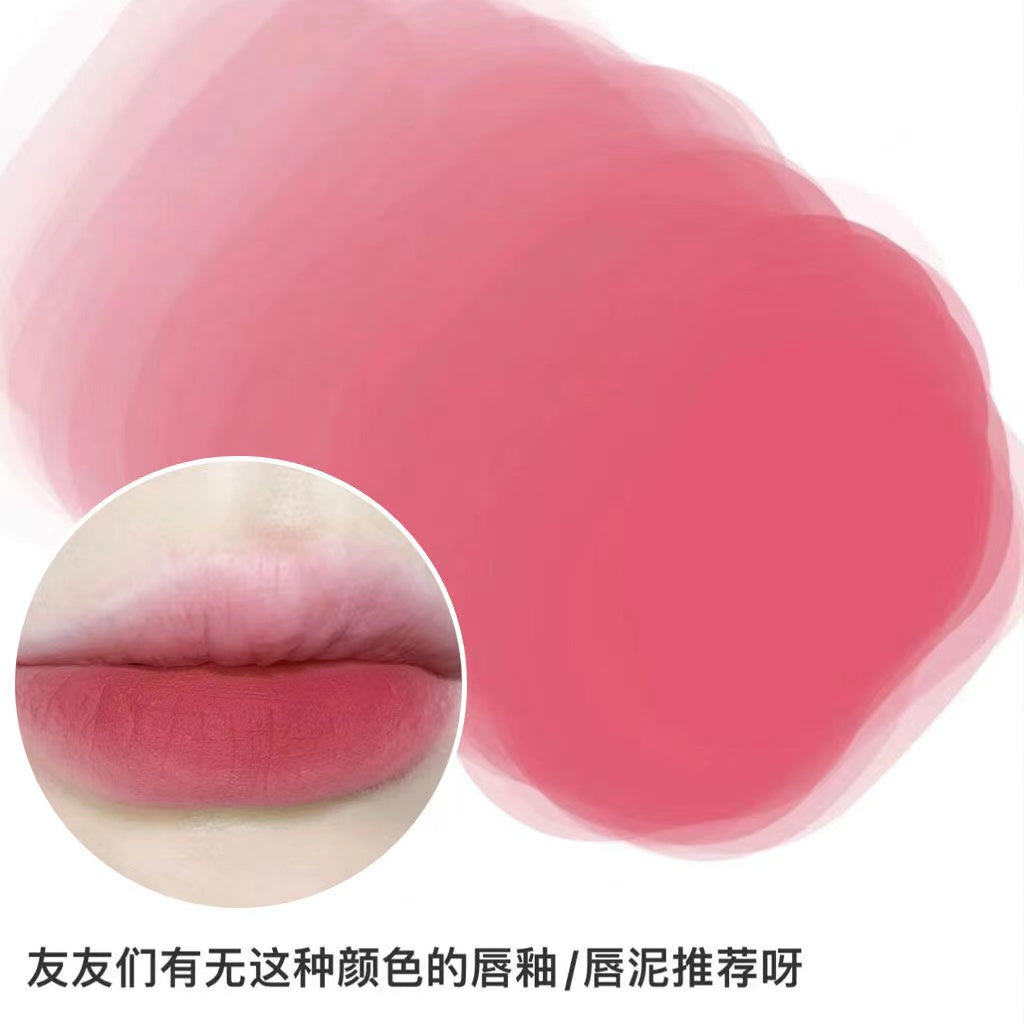 HELLO STYLE Flower Mist Girl Lipstick Matte Velvet Lip Glaze Waterproof Lip Gloss