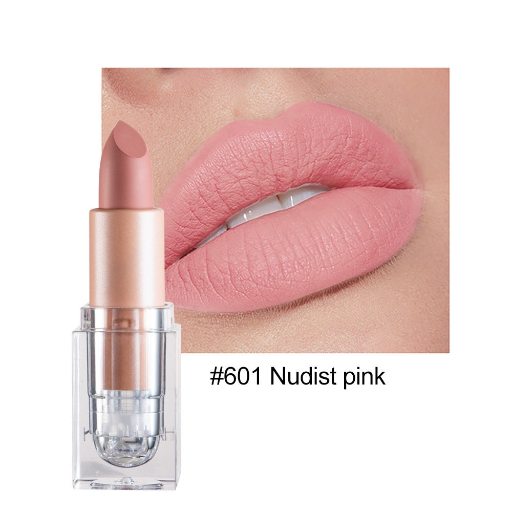 Matte Lipstick Water Proof Lasting Square Tube Ice Cube Lip Gloss