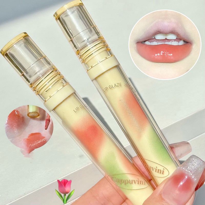 Cappuvini Lip Gloss Mirror Moisturize Moisturizing Water Proof Lasting Lip Glaze Lipstick