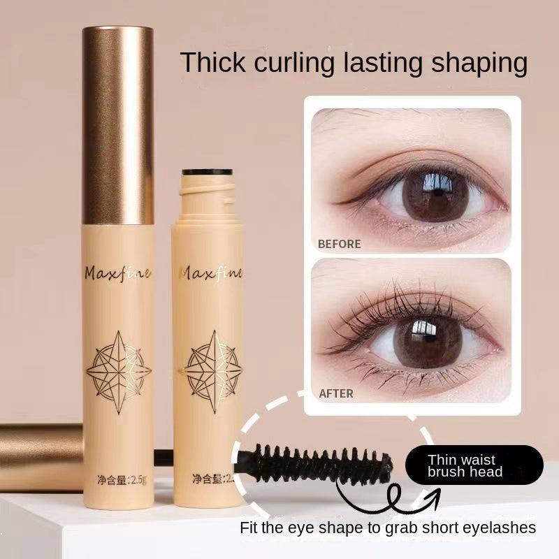 Maxfine Mascara Curling Water Proof Lengthening Long-wearing Dense Volumizing Mascara