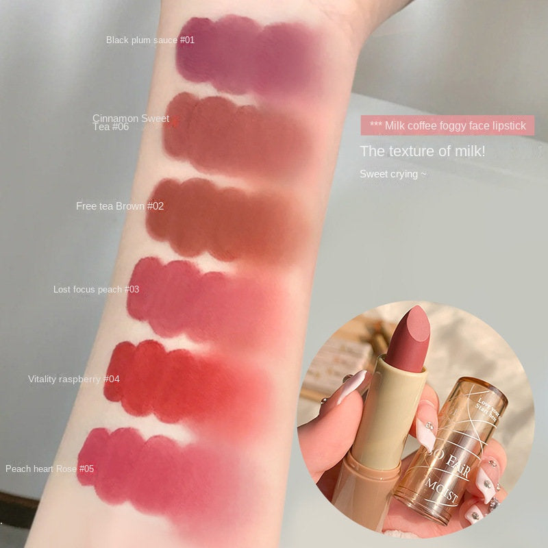 BOBO FAiR Lipstick Matte Water Proof Lasting Nature Not Easy To Fade Lip Gloss